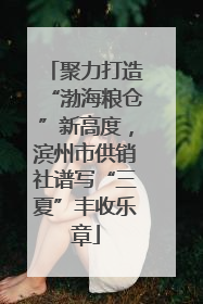 聚力打造“渤海粮仓”新高度，滨州市供销社谱写“三夏”丰收乐章